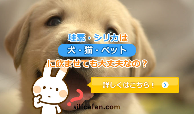 珪素・シリカは犬・猫などペットにも飲ませていいの?